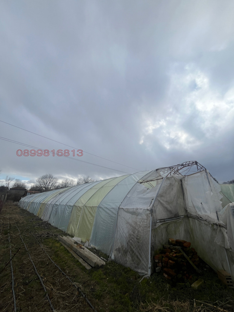 Продава ЗЕМЕДЕЛСКА ЗЕМЯ, с. Жабокрът, област Кюстендил, снимка 8 - Земеделска земя - 53403167