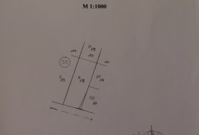 Сюжет Опицвет, область София