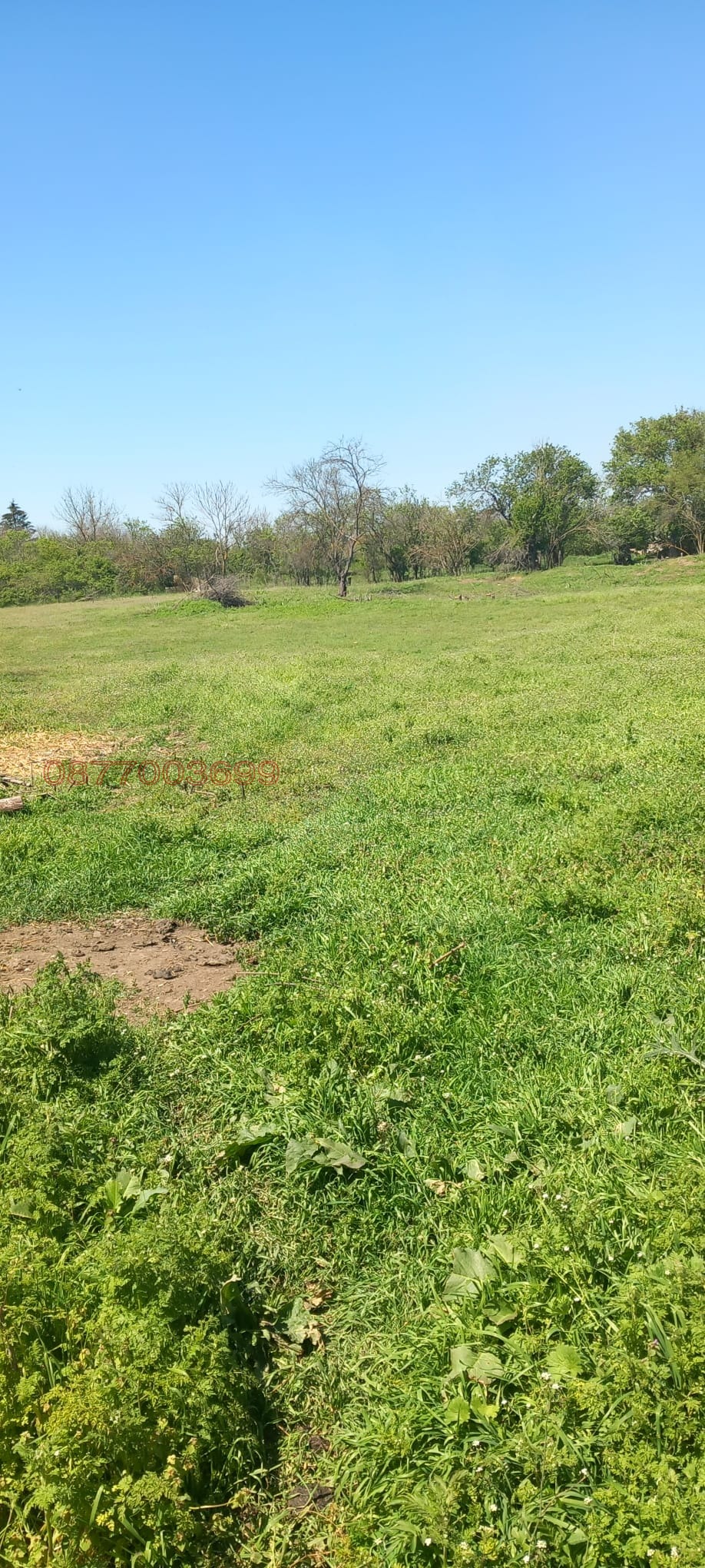 Продава КЪЩА, с. Казашка река, област Варна, снимка 8 - Къщи - 54359800