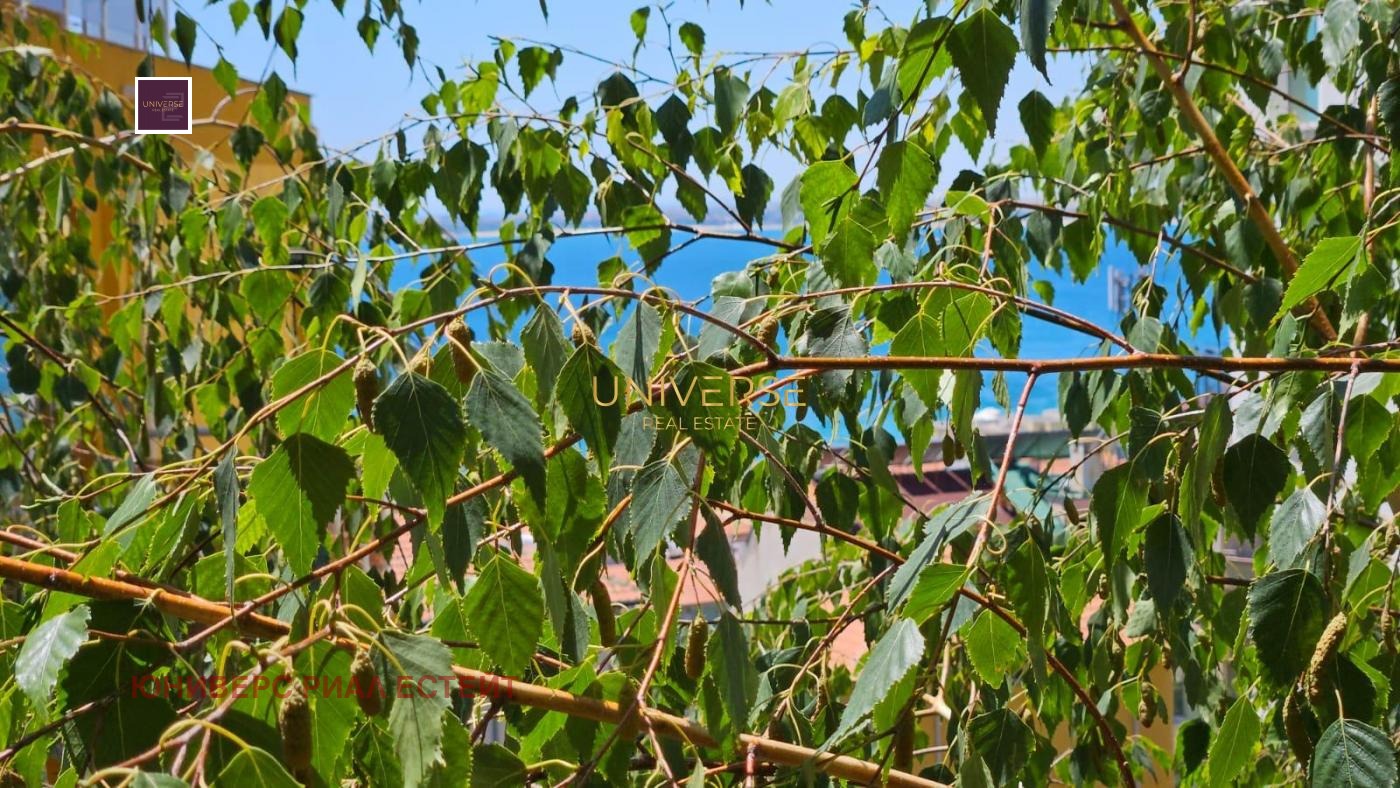 ������� 2-����� | Imot.bg � ����������� 12