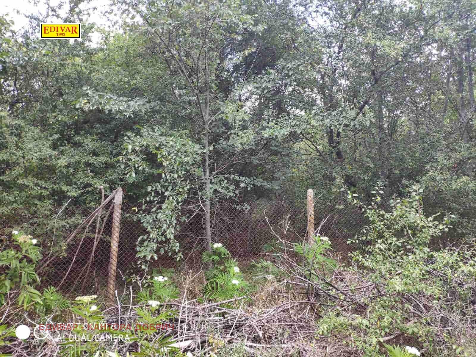 ������� ���� | Imot.bg � ����������� 3