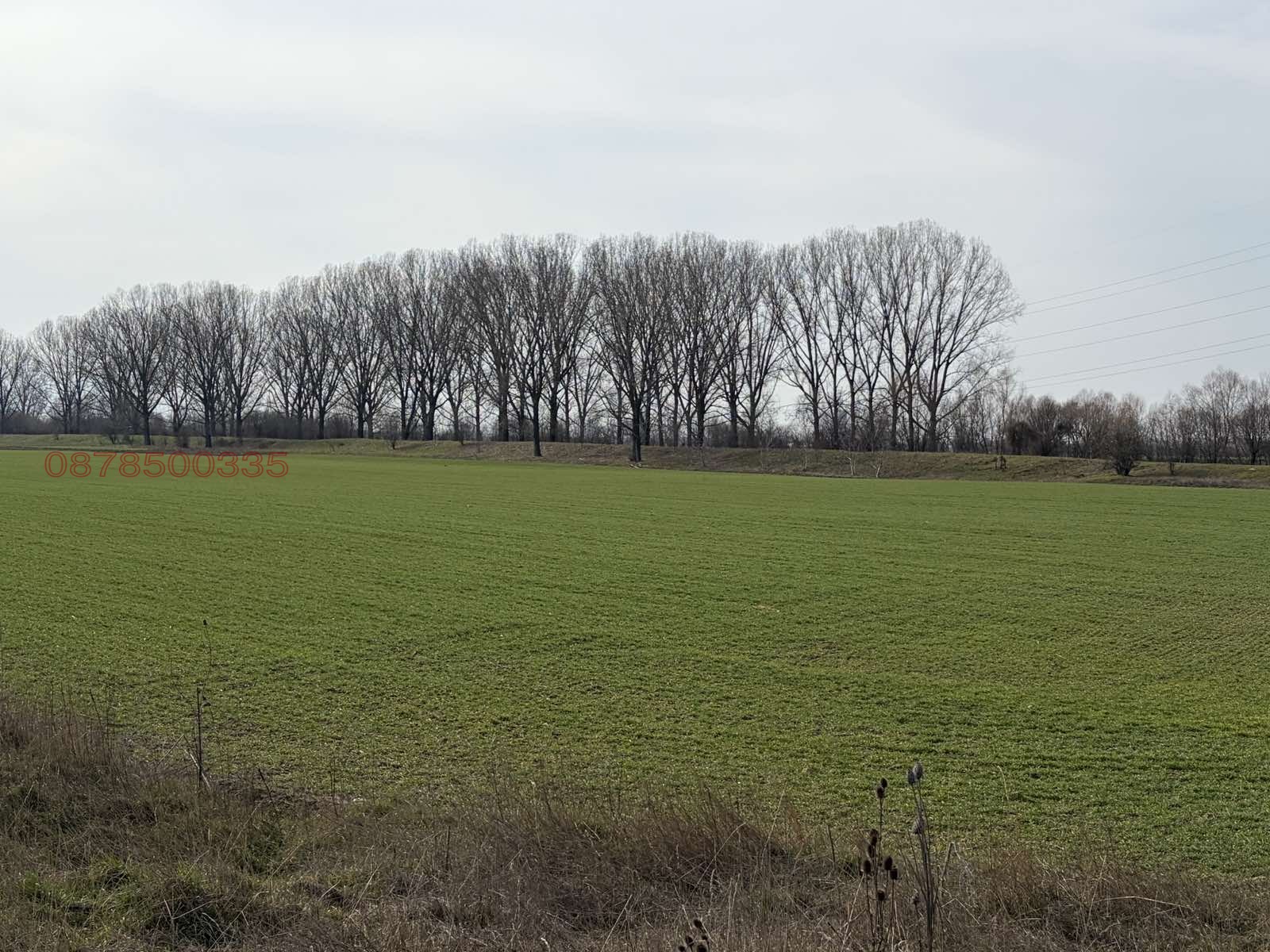 ������� ������ | Imot.bg � ����������� 1