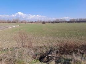 Complot Ciernomoreț, regiunea Burgas 1