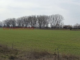 ПАРЦЕЛ, 29 000 m2