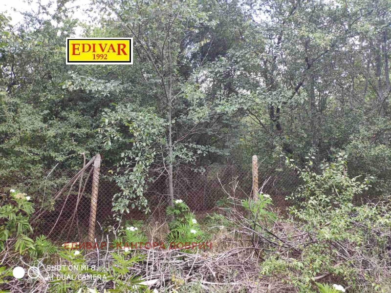 Продава КЪЩА, с. Стаевци, област Добрич, снимка 2 - Къщи - 52789151