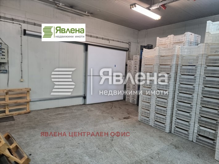 Продаја  Индустријска зграда регион Шуменска , Велики Преслав , 1250 м2 | 69471661 - слика [7]
