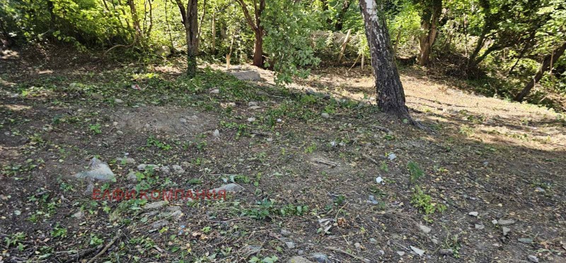 De vânzare  Complot Sofia , Bistrița , 1180 mp | 68860950 - imagine [3]