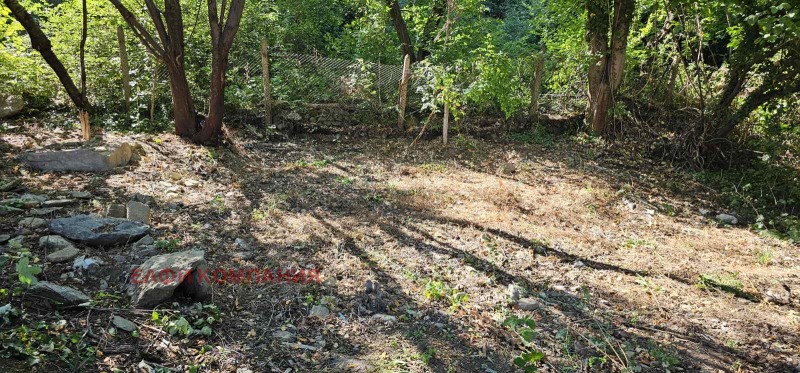 De vânzare  Complot Sofia , Bistrița , 1180 mp | 68860950 - imagine [5]