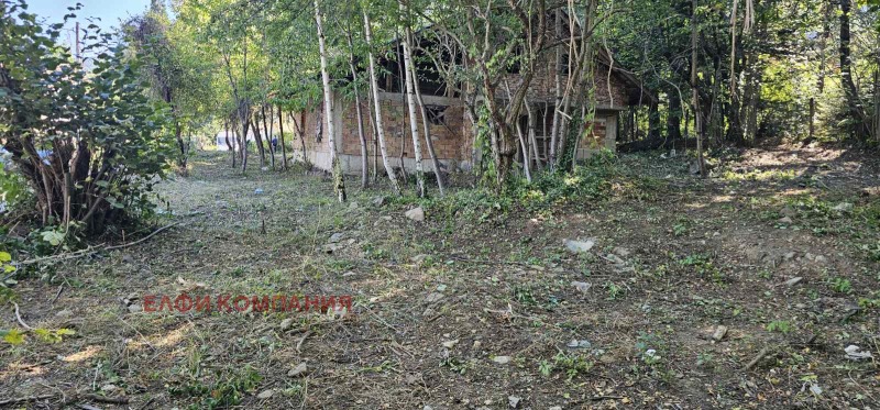 De vânzare  Complot Sofia , Bistrița , 1180 mp | 68860950 - imagine [2]