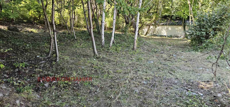 De vânzare  Complot Sofia , Bistrița , 1180 mp | 68860950 - imagine [4]