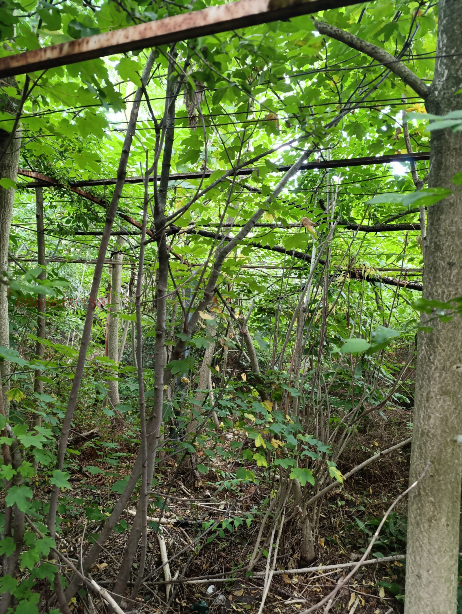 Продава КЪЩА | Imot.bg — изображение 8