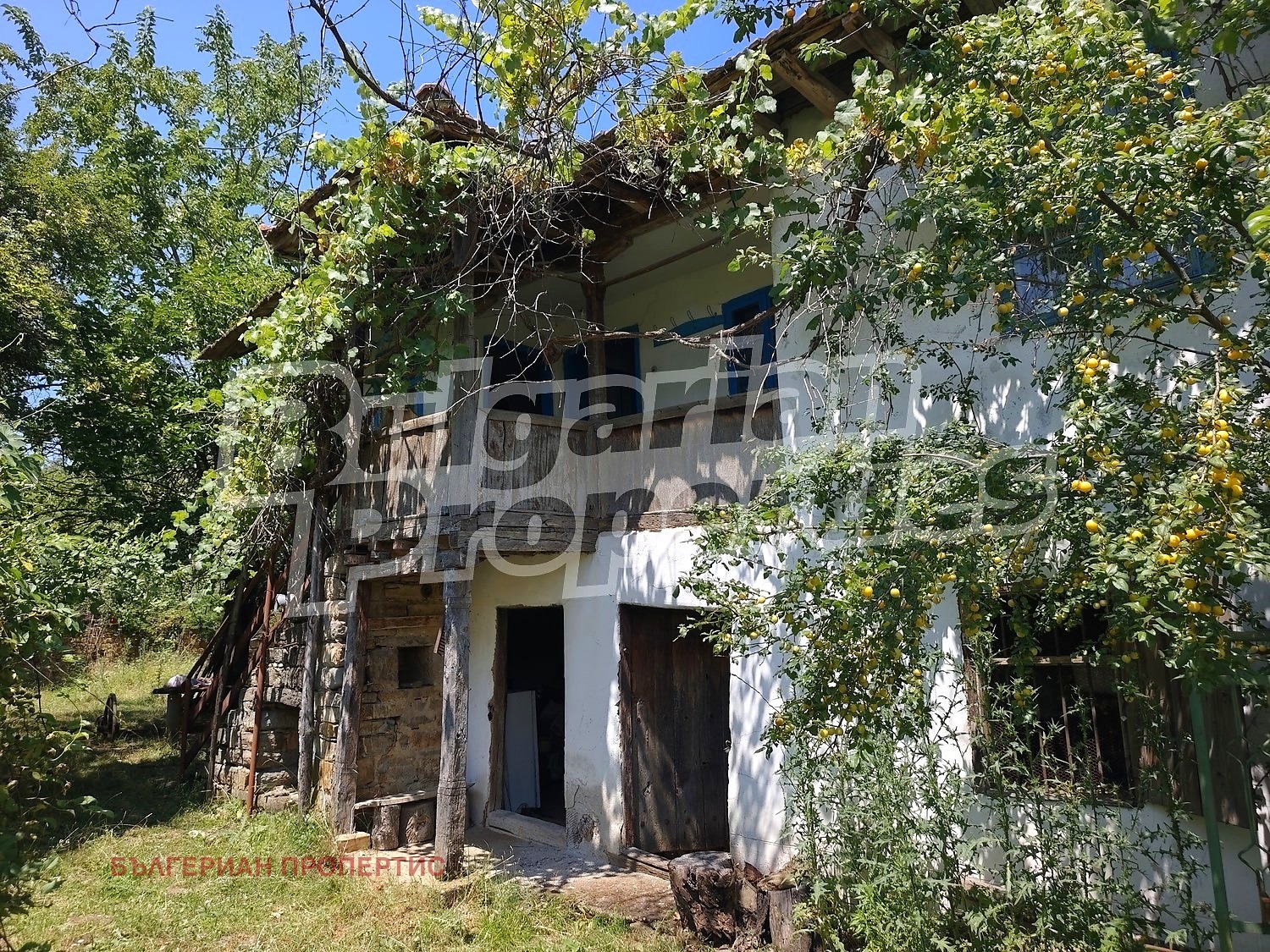 ������� ���� | Imot.bg � ����������� 11