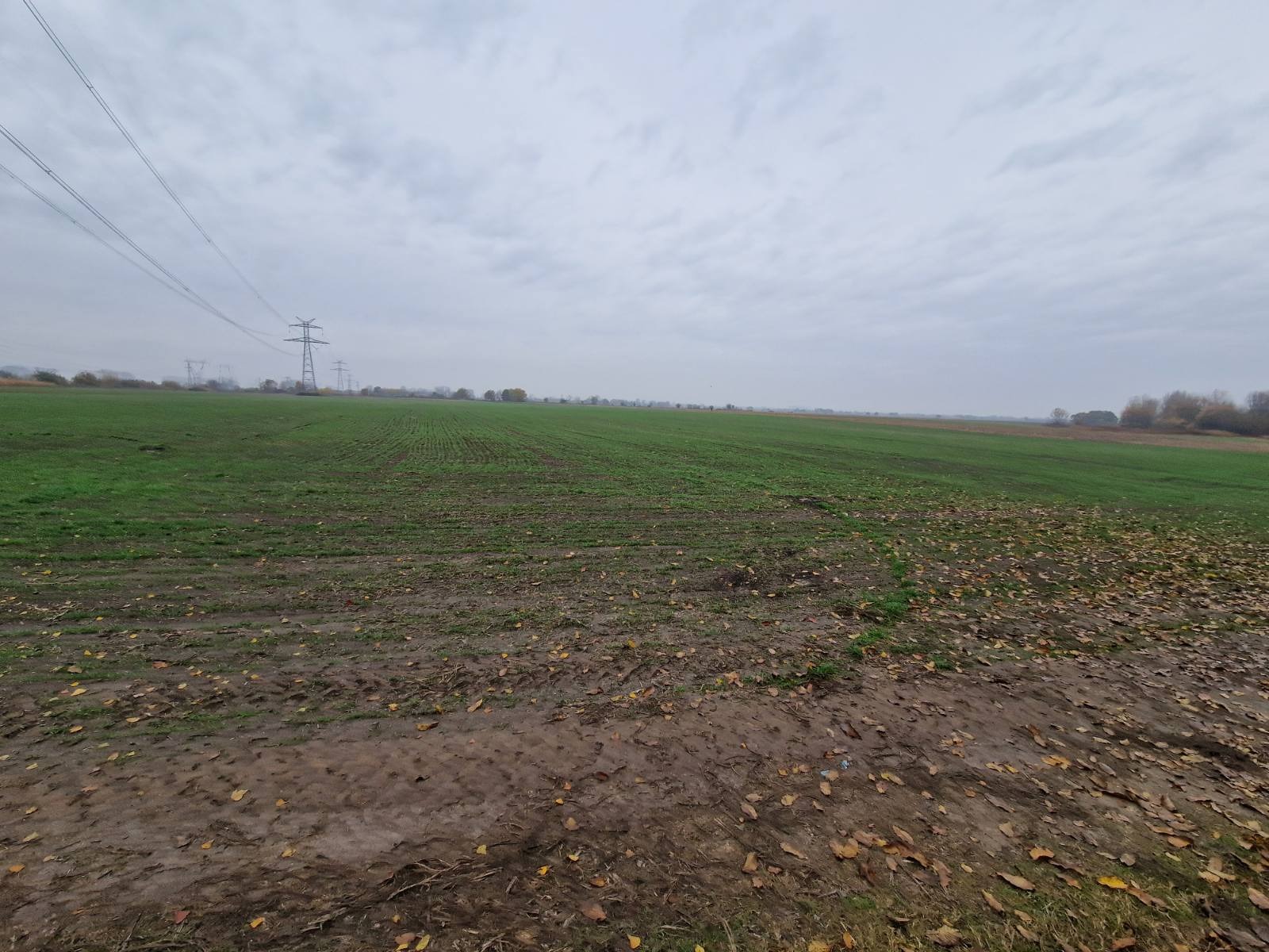 Продава ПАРЦЕЛ | Imot.bg — изображение 6