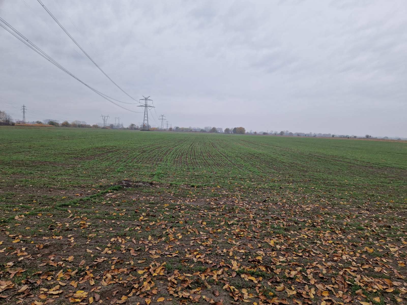 Продава ПАРЦЕЛ | Imot.bg — изображение 4