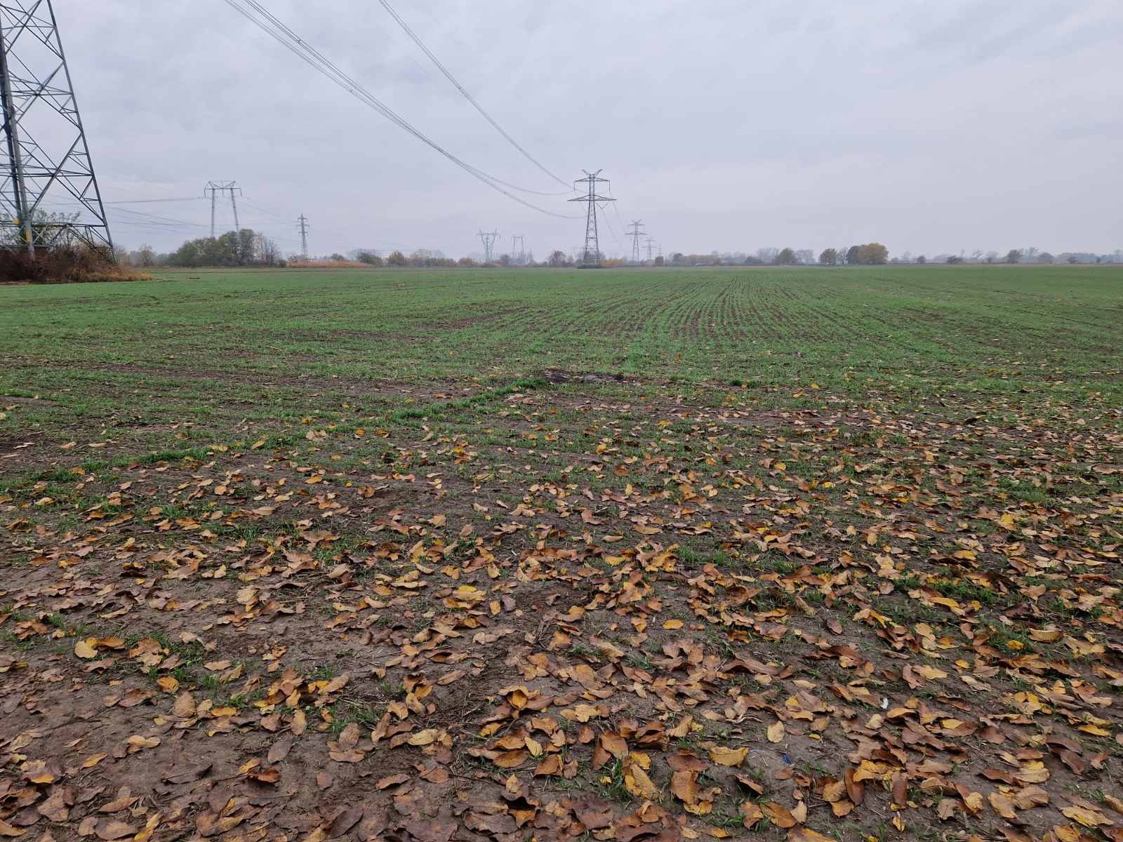 Продава ПАРЦЕЛ | Imot.bg — изображение 3