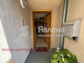 ����� ������� ����,���� �����, ����������� ������