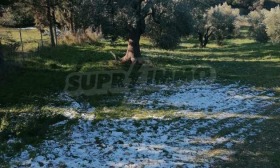 ������� ������ | Imot.bg � ����� ������ 7