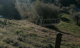 ������� ������ | Imot.bg � ����� ������ 11