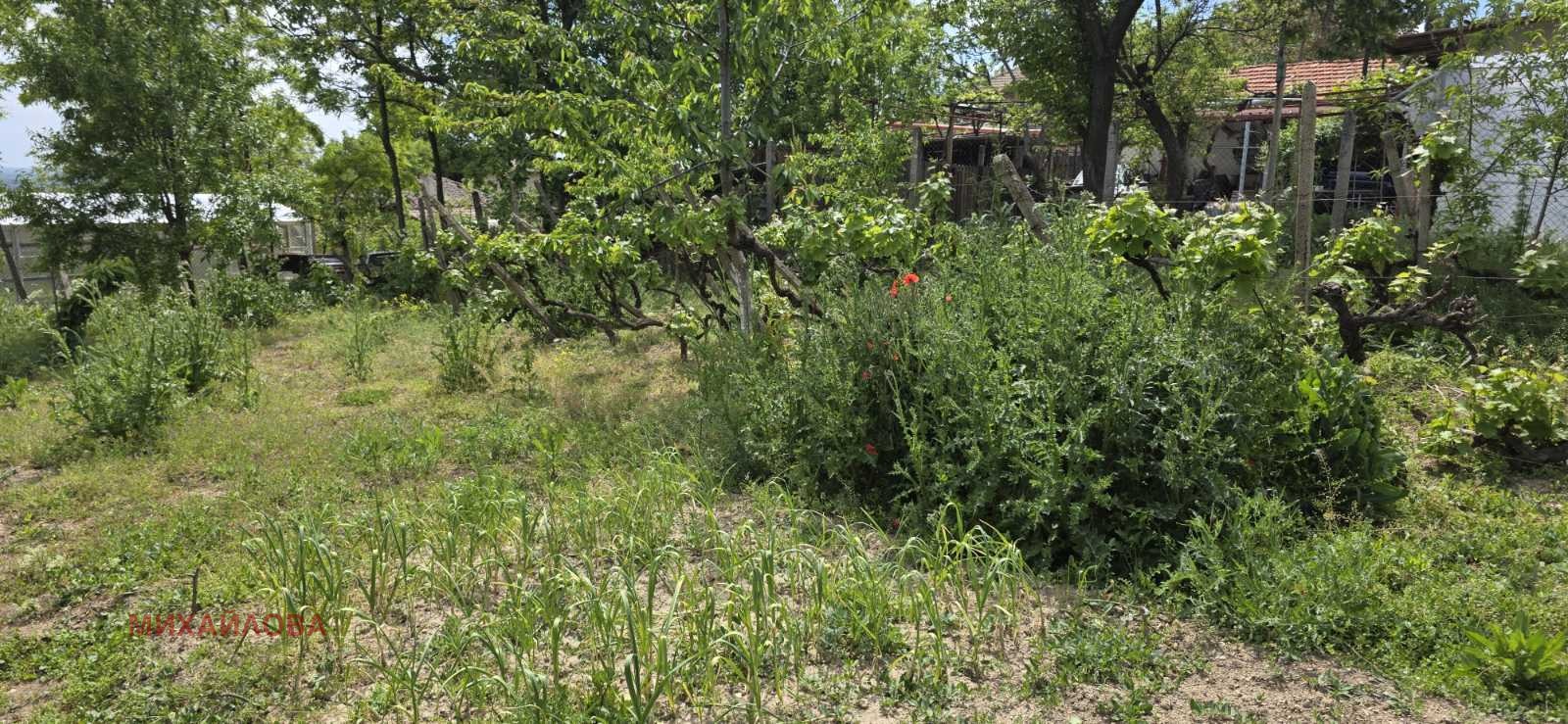 Продава ПАРЦЕЛ, с. Дълбоки, област Стара Загора, снимка 4 - Парцели - 54594807
