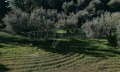 Продава ПАРЦЕЛ, Извън страната, област Извън страната, снимка 1