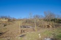 Продава ПАРЦЕЛ, област Габрово, с. Караиванца • 48900 € • 28705069 — Holmes.bg