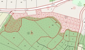 ������ ������� ������