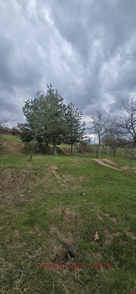 ������� ������ | Imot.bg � ����������� 4