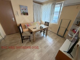 ����� ������� ����,���� �������, �������