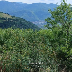 ������� ���� | Imot.bg � ����� ������ 17