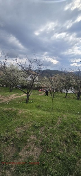 ����� ������� ������,��. ����� ������, ������ �����