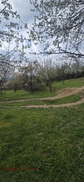 ������� ������ | Imot.bg � ����� ������ 8