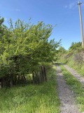 Продава ПАРЦЕЛ, с. Дъбрава, област Благоевград, снимка 1