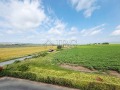 Продава  1-стаен област Бургас , к.к. Слънчев бряг , 36 кв.м | 72214392 - изображение [4]