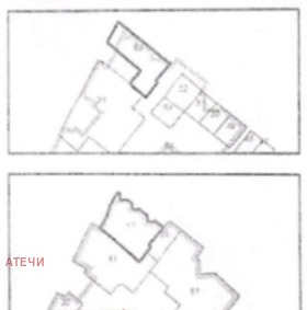 ������ ������� ����