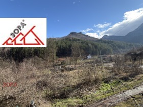 ����� ������� ������,�. ���������, ������ �����