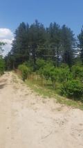 Продава ПАРЦЕЛ, гр. Сапарева баня, област Кюстендил, снимка 2