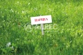 Продава ПАРЦЕЛ, гр. Пловдив, Индустриална зона - Изток, снимка 1