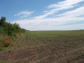 Продава ЗЕМЕДЕЛСКА ЗЕМЯ, гр. Добрич, област Добрич, снимка 3