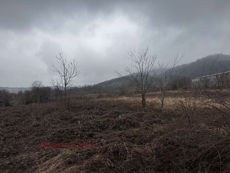 Продава ПАРЦЕЛ в област Монтана, с. Спанчевци - 1405 кв.м / 40 000 € » 78 233.20 лв., АМИДОР ЕСТЕЙТС