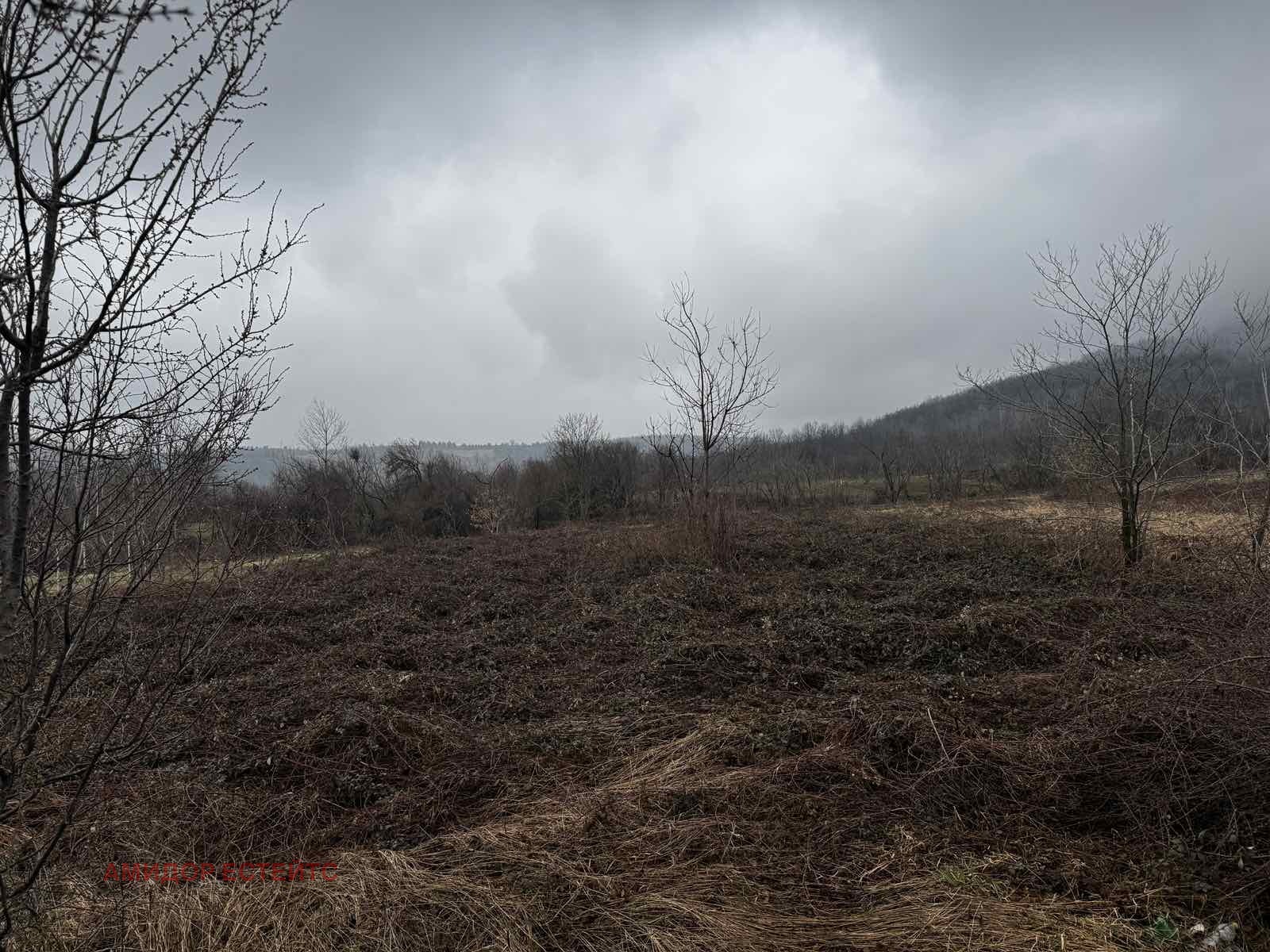 ������� ������ | Imot.bg � ����������� 3