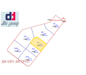 ����� ������� ������,���� �����, ���������