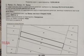 ����� ������� ������,���� �����, �������