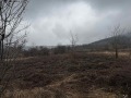Продава ПАРЦЕЛ, с. Спанчевци, област Монтана, снимка 3
