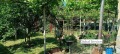 Продава КЪЩА, област Кюстендил, гр. Бобов дол • 45000 € • 23321742 — Holmes.bg