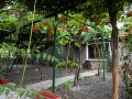 Продава КЪЩА, област Стара Загора, с. Зетьово • 110000 лв. • 74045802 — Holmes.bg