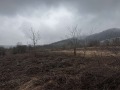 Продава ПАРЦЕЛ, област Монтана, с. Спанчевци • 40000 € / 78233.20 лв. • 90556313 1
