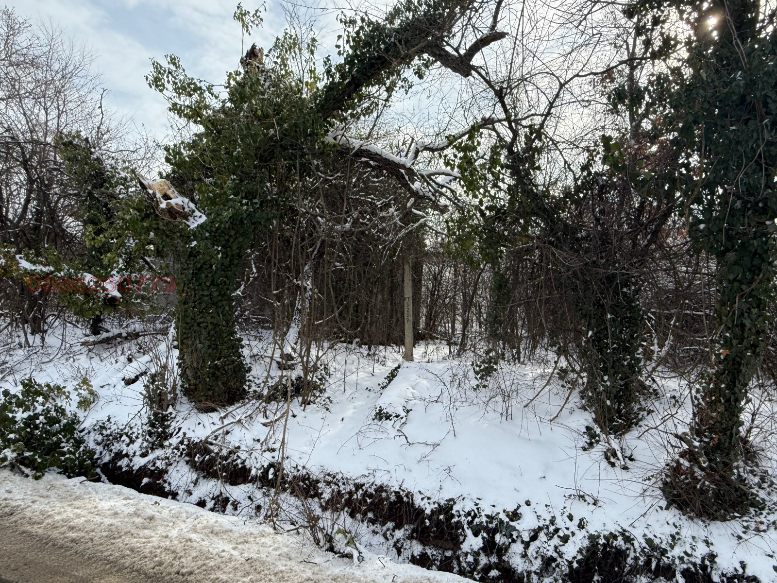 ������� ������ | Imot.bg � ����������� 3