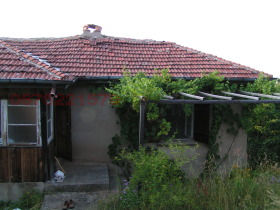 ������ ������� ����