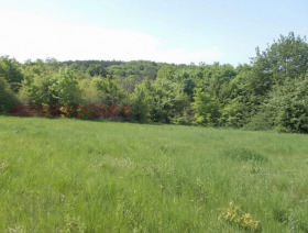 ������� ������ | Imot.bg � ����� ������ 5