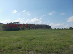 ����� ������� ������,���� �����, ��. �����